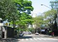 Rua Pascal, vista da esquina com a Rua Bar�o do Triunfo